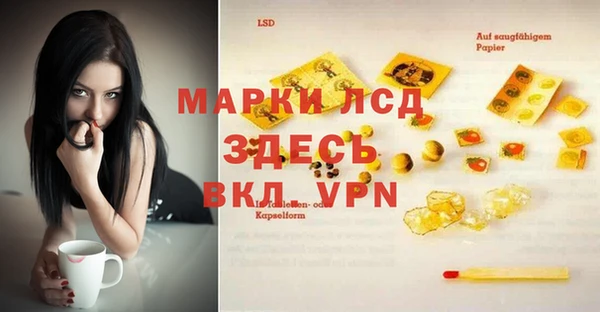 Альфа ПВП Новозыбков