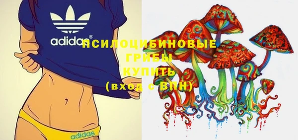 бутират Баксан
