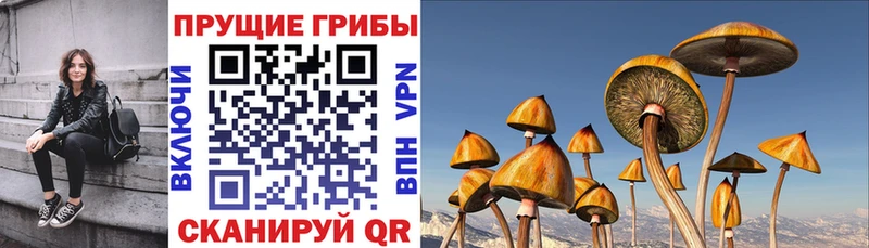 Псилоцибиновые грибы Psilocybine cubensis  blacksprut ONION  Северо-Курильск 